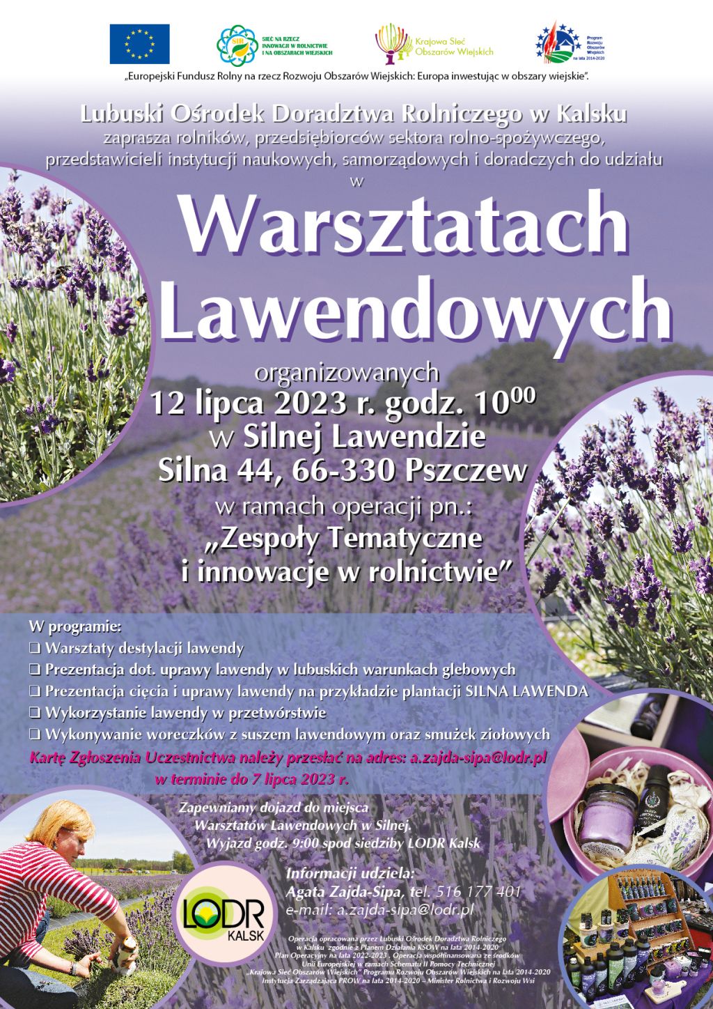 Warsztaty LAWENDOWE 2023 01