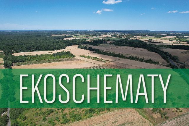 EKOSchematy www 01