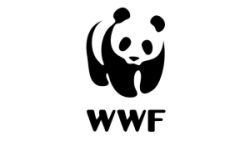 wwf baner