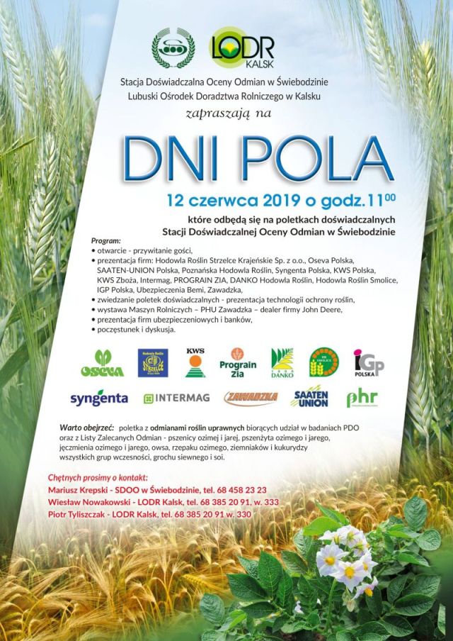 dni pola 2019 program RGB