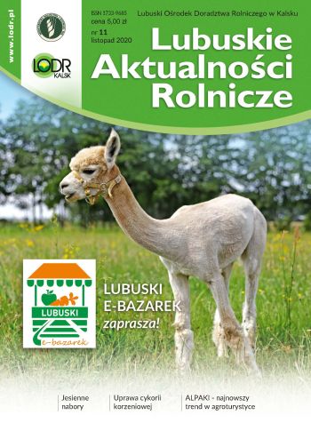 2020 11 Lubuskie Aktualnosci Rolnicze